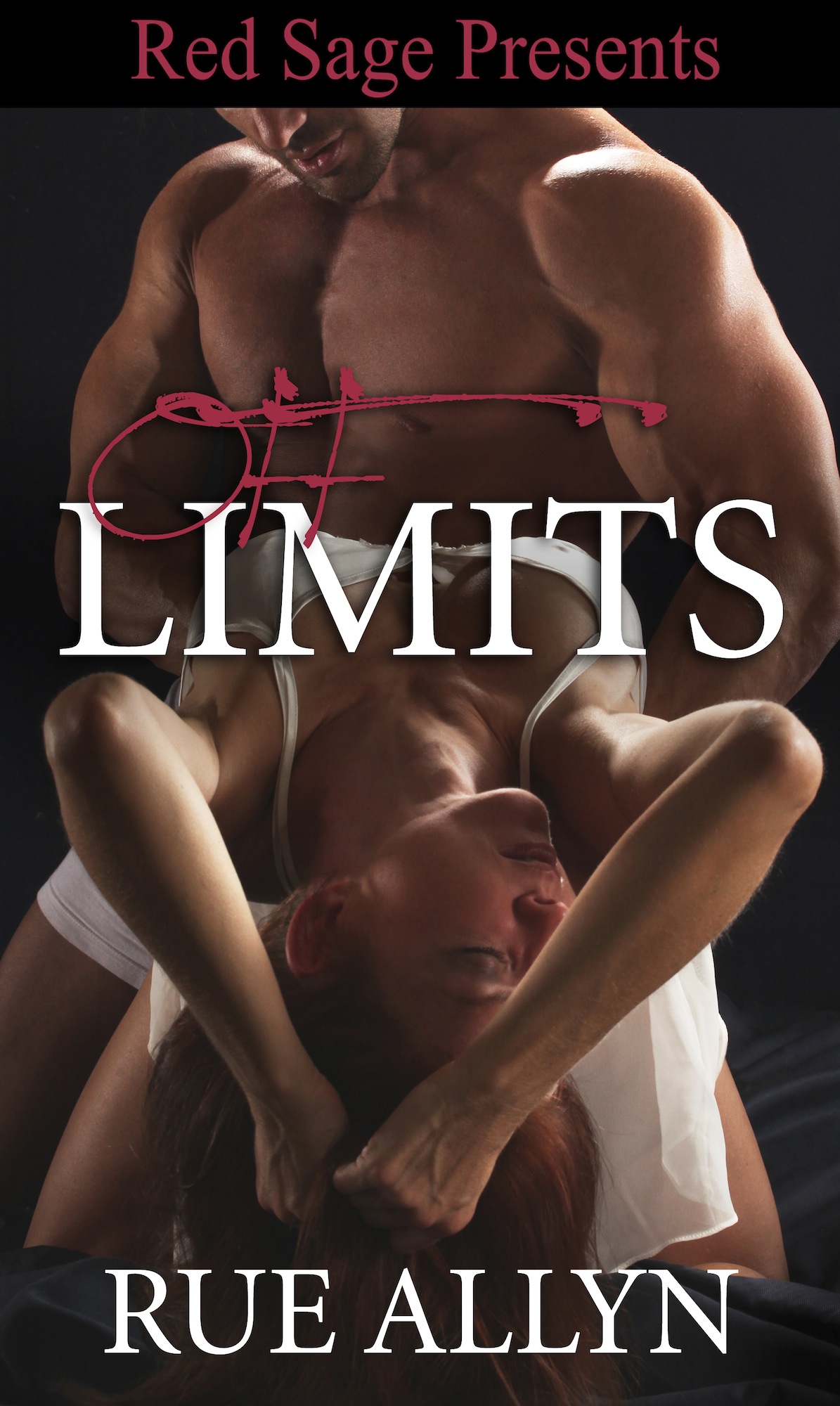 Title details for Off Limits by Rue Allyn - Available